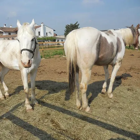 Alloggio per agriturismo Agriturismo Le Mura Del Gherlo Valeggio sul Mincio