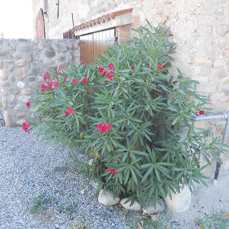 Agriturismo Le Mura Del Gherlo Alloggio per agriturismo *